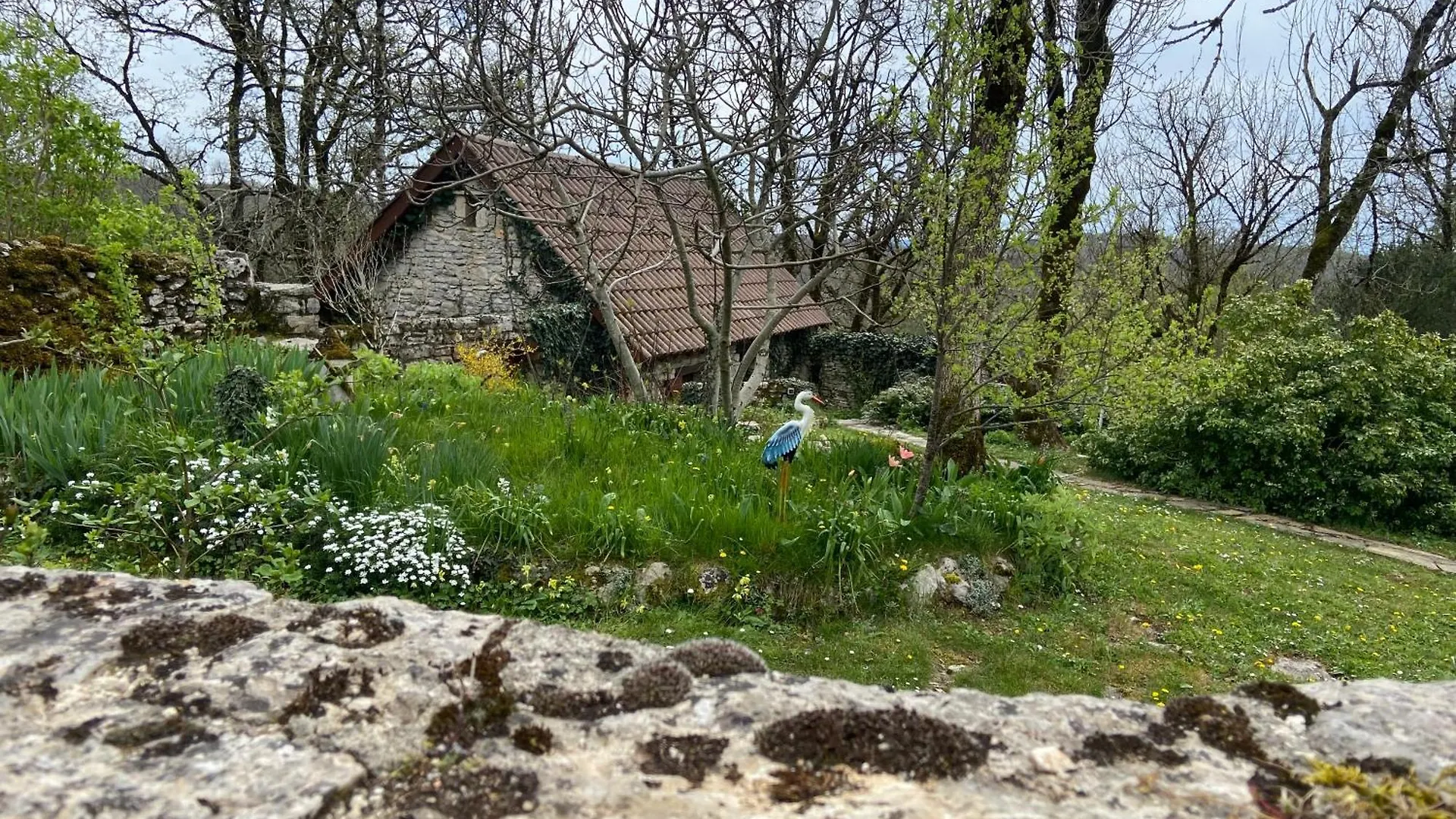 Gite sur le causse de St CHELS, charme sport et détente Saint-Chels 0*,  France